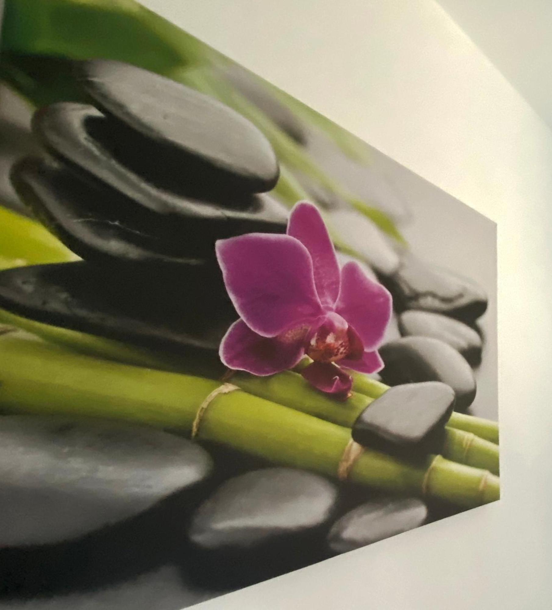 Four Flowers Apartman Siofok Exterior photo