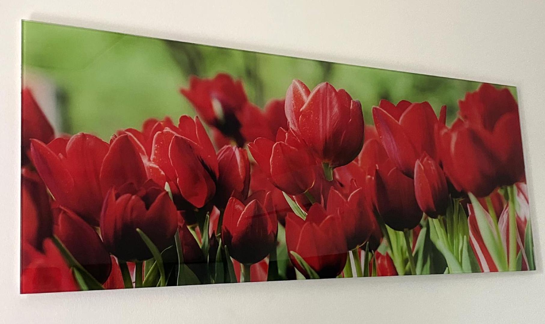 Four Flowers Apartman Siofok Exterior photo